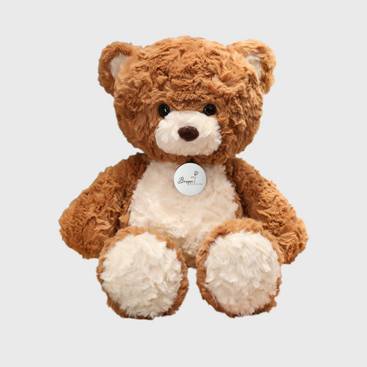 Ours en peluche de 50cm 🧸